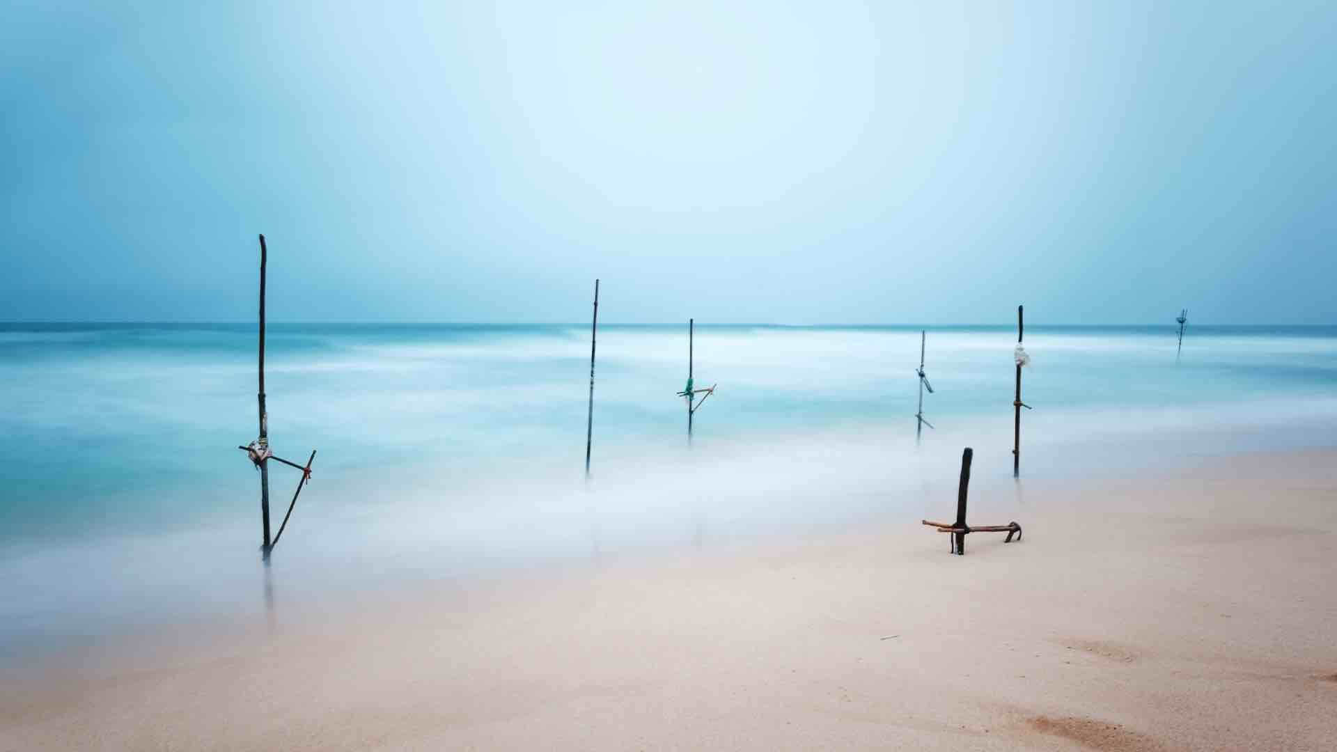 stilt fishing in Sri Lanka