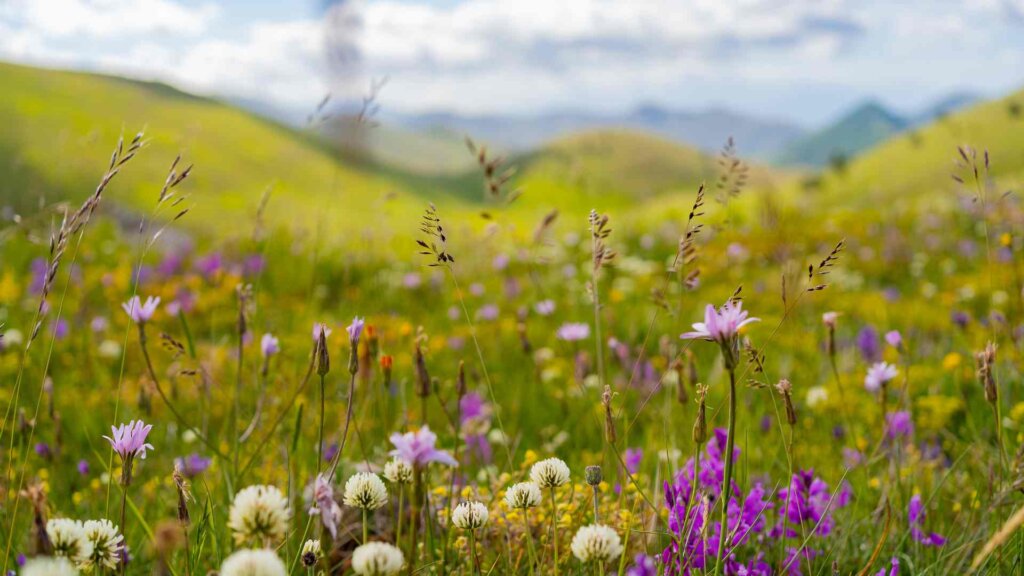 Discover the incredible places and what to see in Abruzzo with kids 2 Miniwanderlust Team what to see in Abruzzo with kids