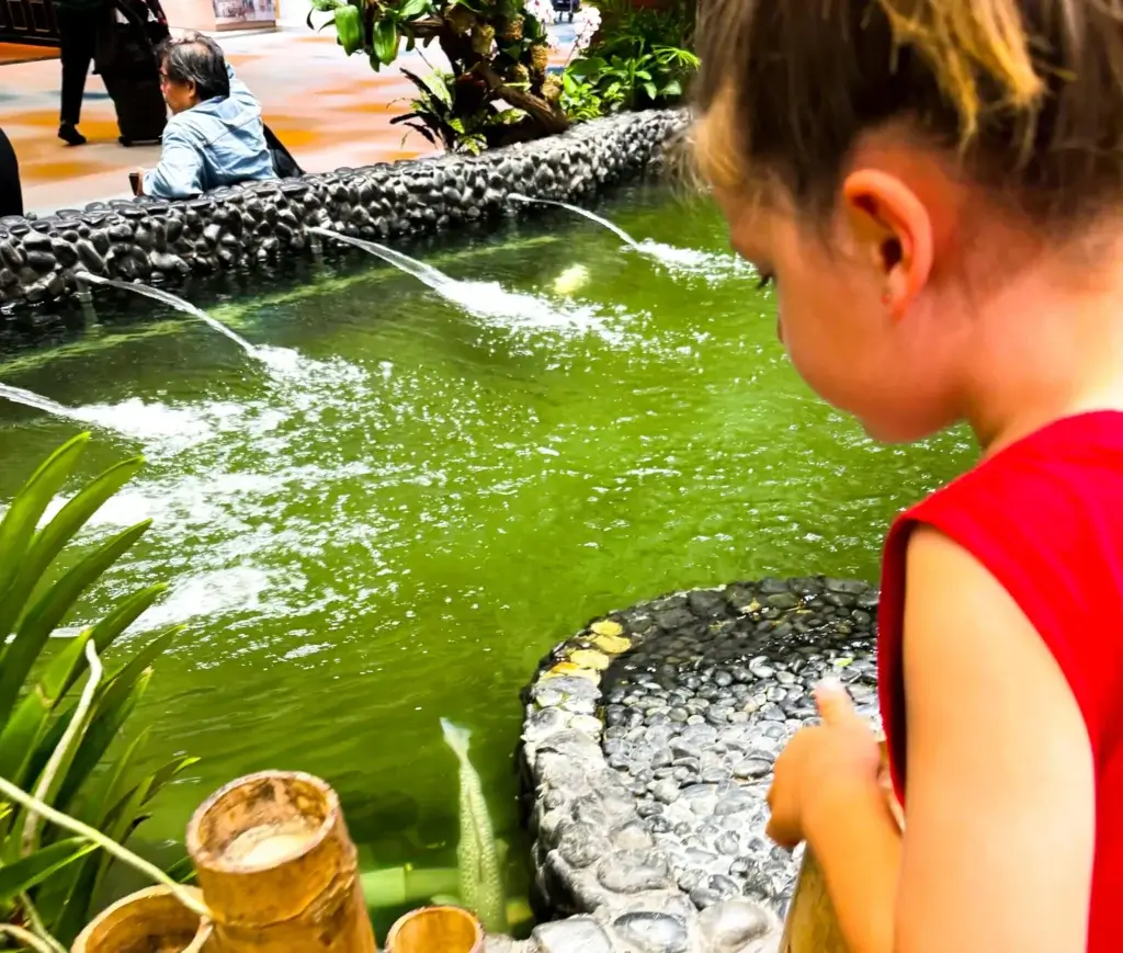 Long Stopover AT Singapore airport 474 Miniwanderlust Team Long Stopover AT Singapore airport